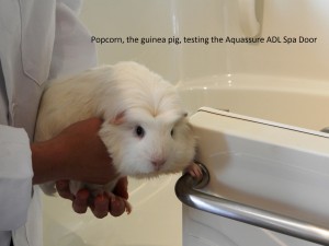 guinea pig testing Aquassure ADL Spa